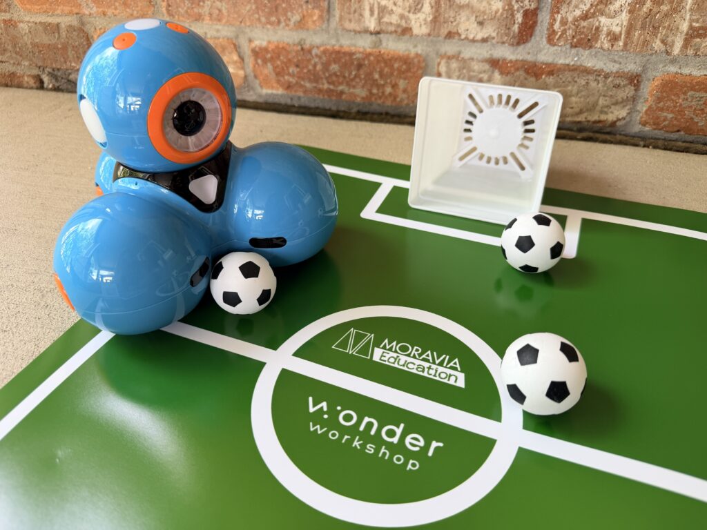 Dash - Soccer Balls - And Field